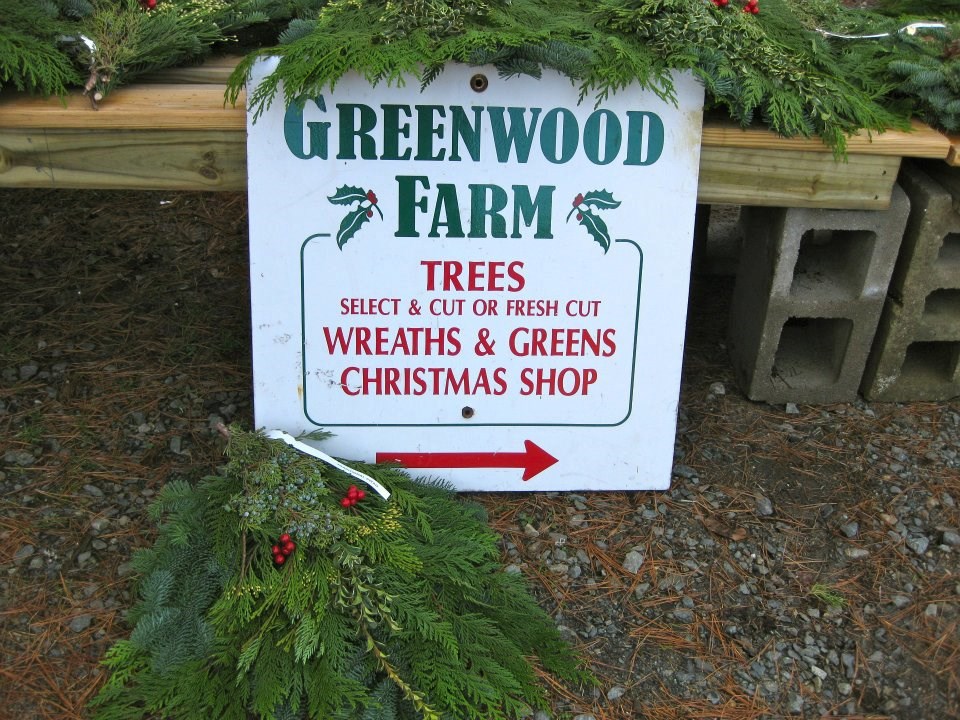 greenwood tree farm christmas tree farm christmas tree farms ks