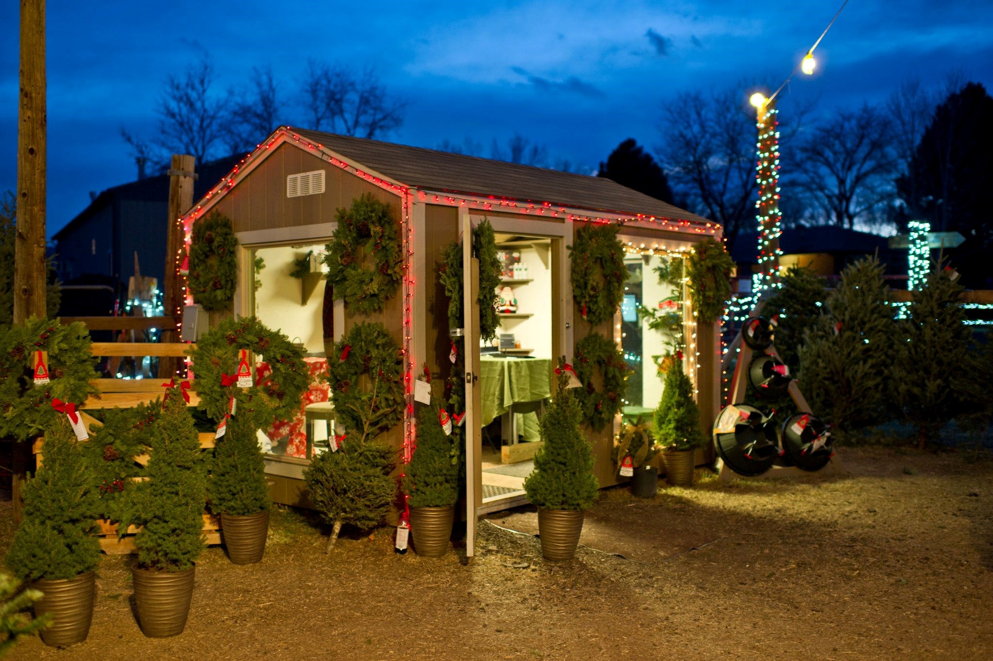 CreekSide Tree Nursery christmas tree farm | ChristmasTreeFarms.net