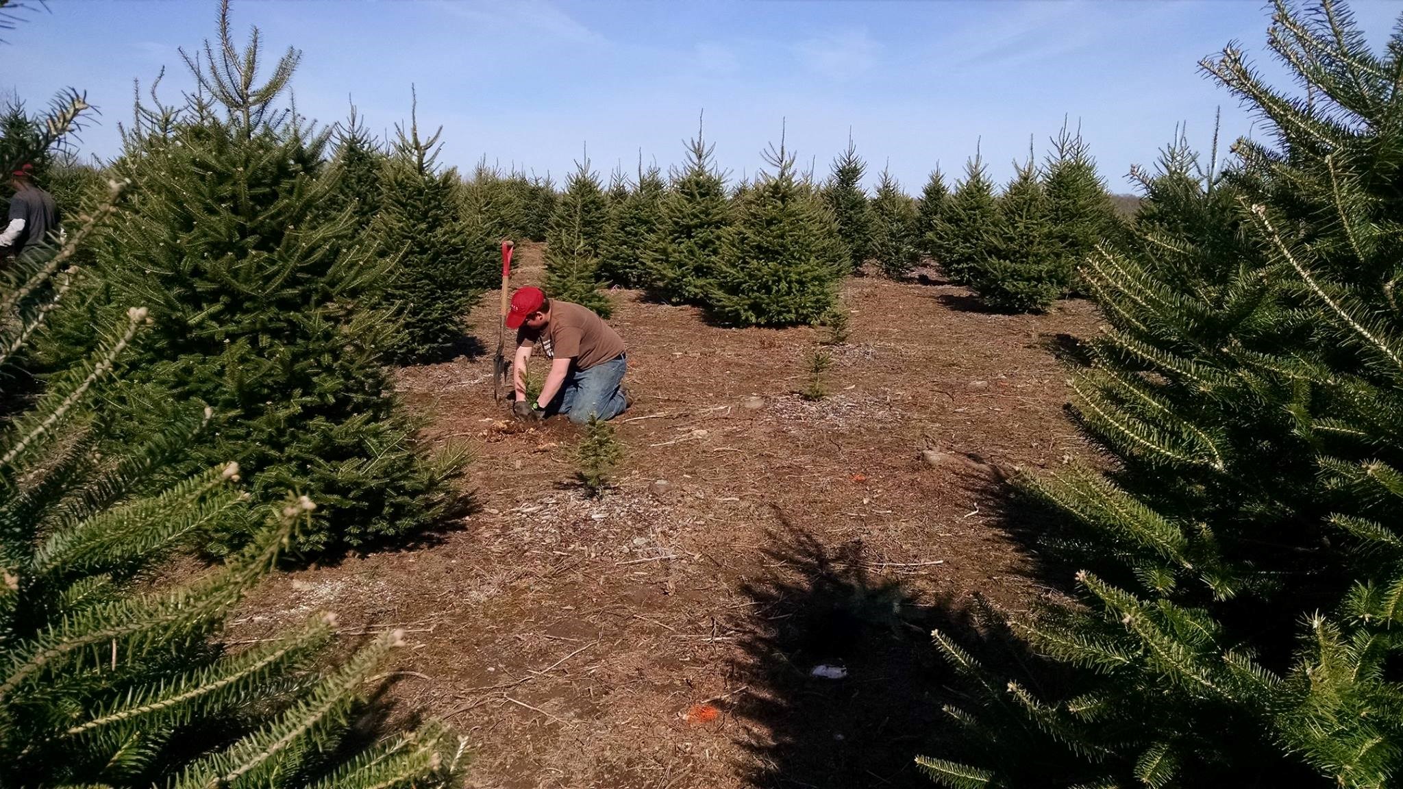 Jones Family Farms Shelton, CT 06484