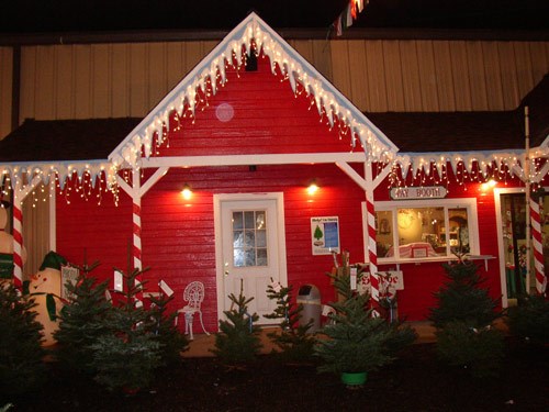 Battaglia Ranch Christmas Tree Farm San Martin Ca 95046