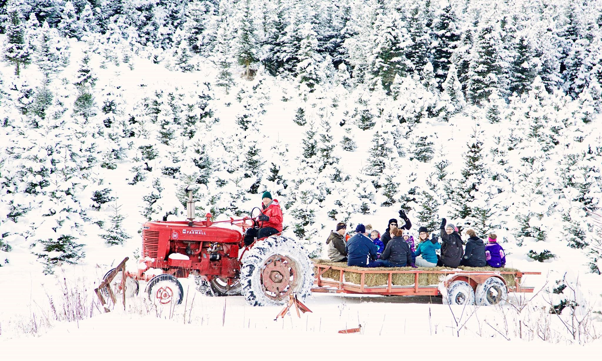 Beckwith Family Christmas Trees &amp; Wreaths christmas tree farm
