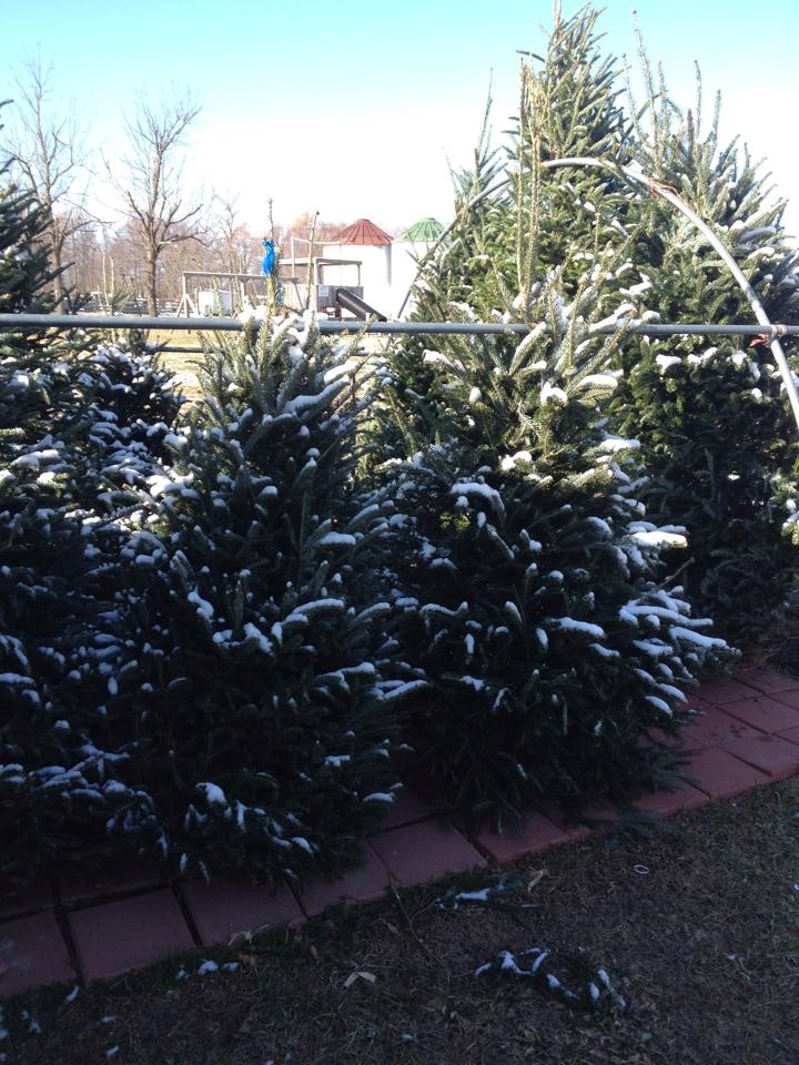 Hinton's Orchard & Farm Market Hodgenville, KY 42748