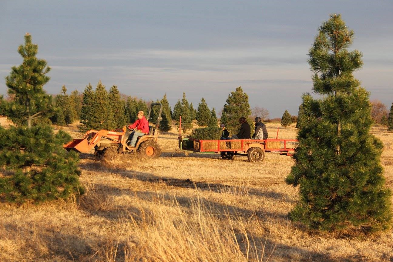 4 C Tree Farm Wichita, KS 67210