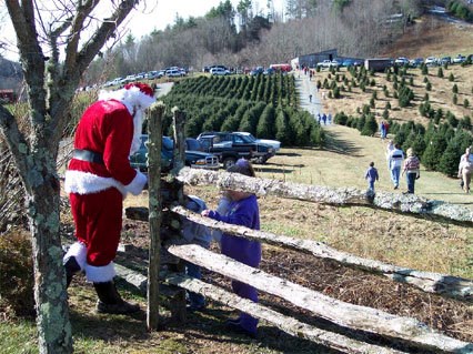 Big Ridge Tree Farm christmas tree farm | ChristmasTreeFarms.net