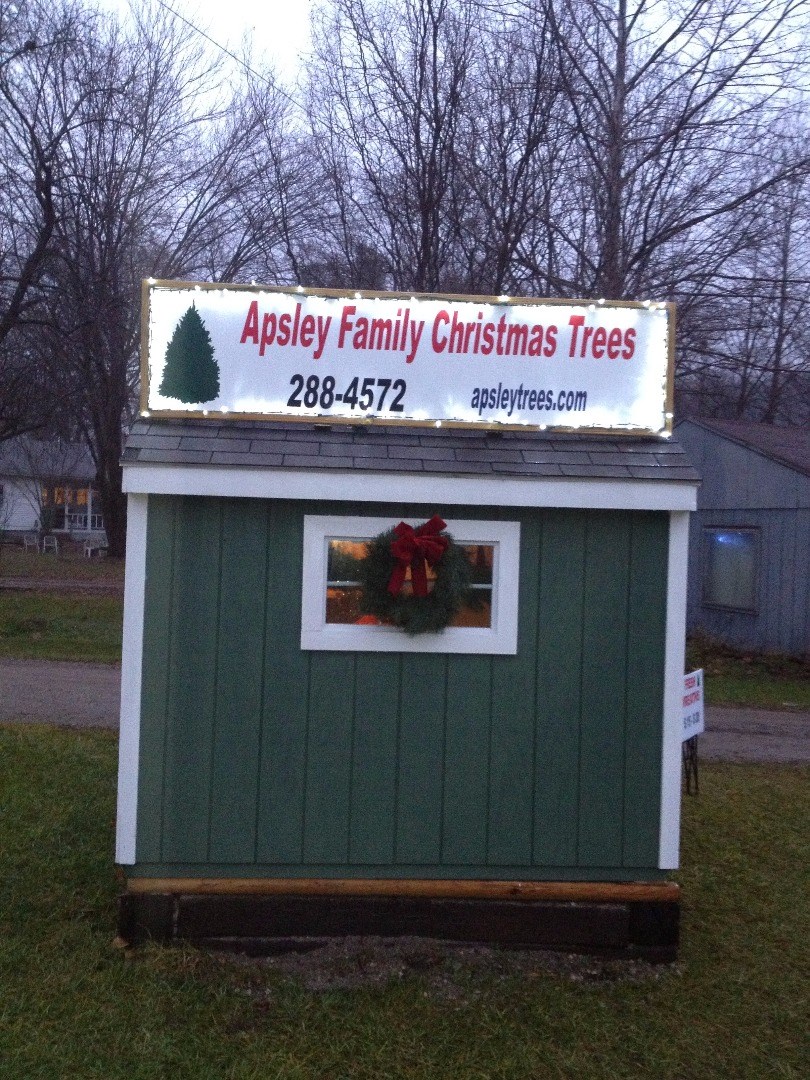 Apsley Family Christmas Trees Wellston, OH 45692