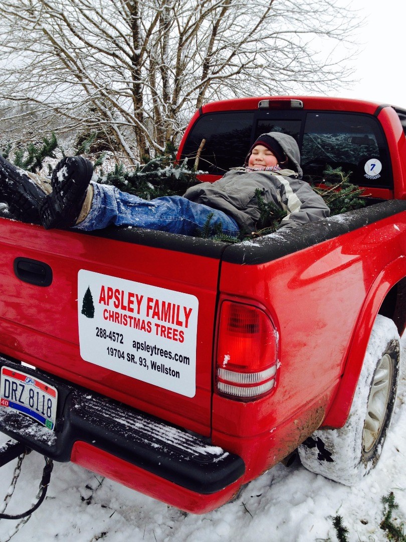 Apsley Family Christmas Trees Wellston, OH 45692