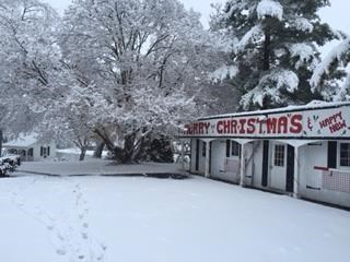 Lebanon ohio christmas tree farmer