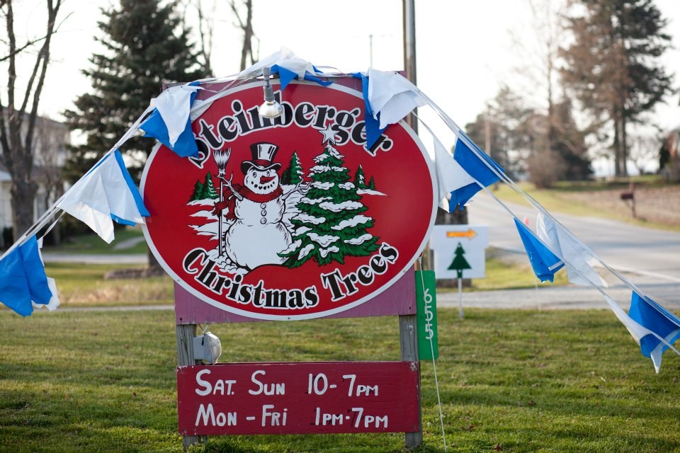 steinberger christmas tree farm christmas tree farm christmas tree farms in wv