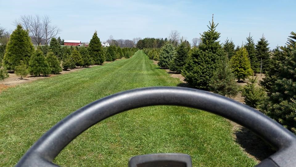 steinberger christmas tree farm christmas tree farm steinberger christmas trees fremont ohio