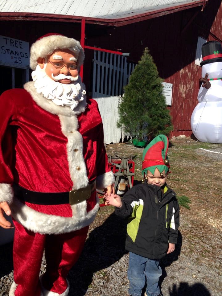 Blackjack Farm Christmas Trees Shelbyville Tn