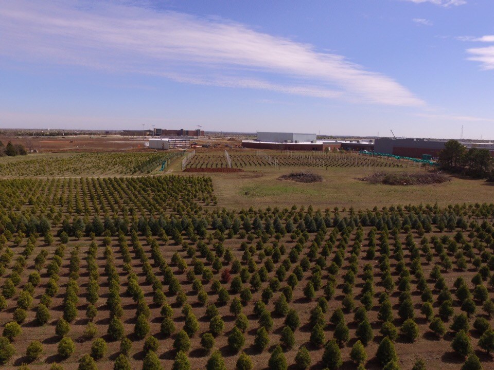 Owasso Christmas Tree Farm Owasso, OK 74055