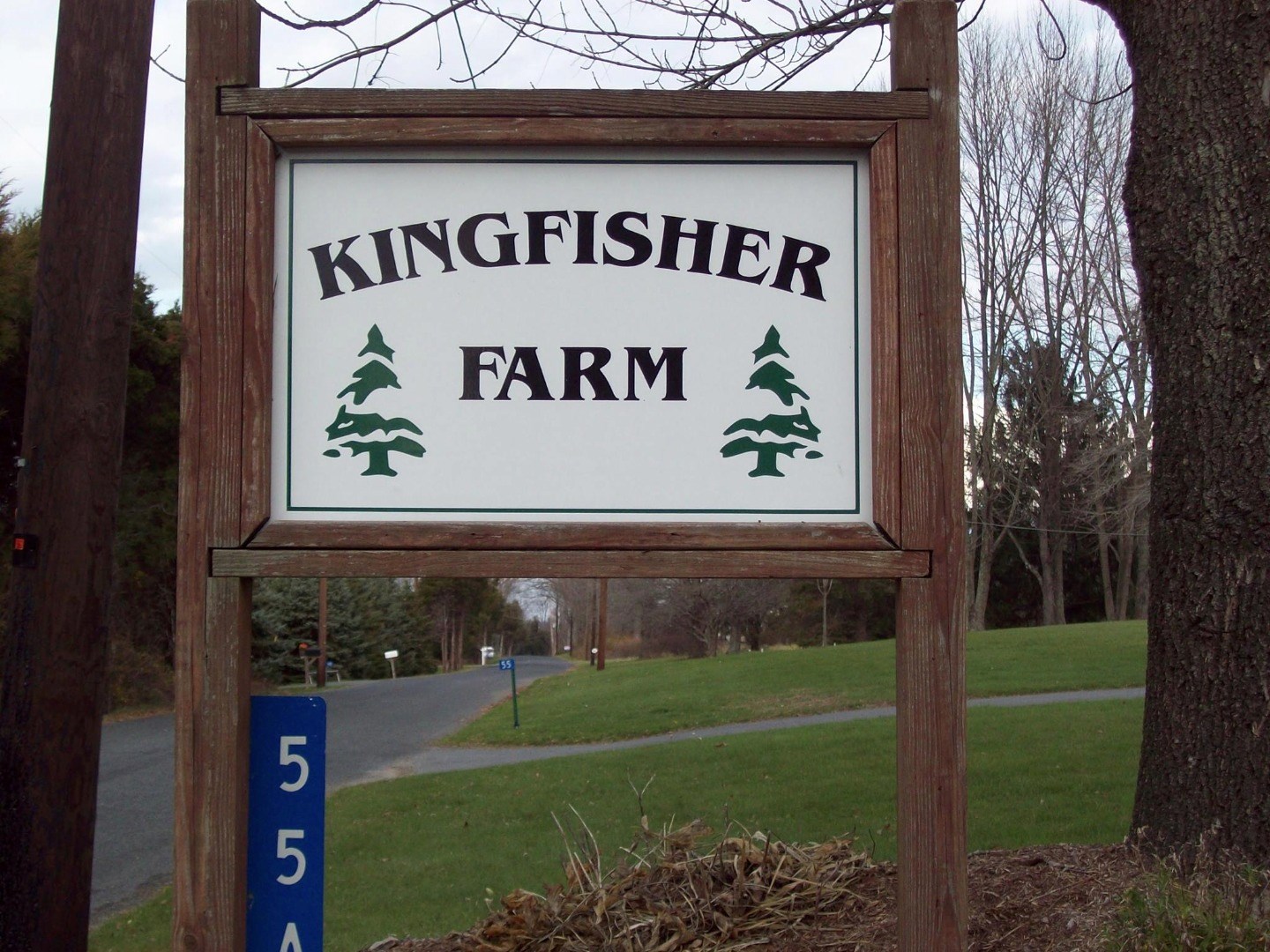 Kingfisher Farm christmas tree farm | www.bagssaleusa.com