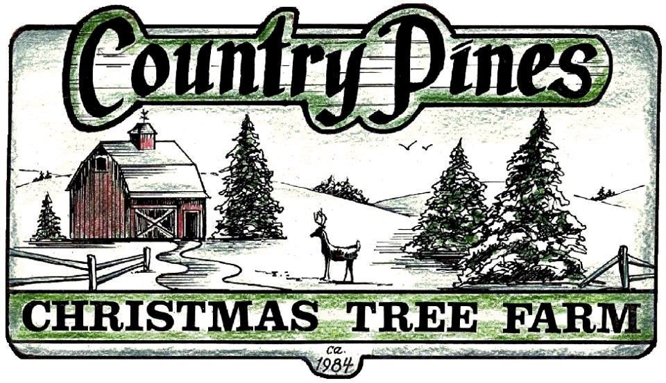 Country Pines Christmas Tree Farm christmas tree farm | www.semadata.org