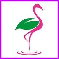 flamingo road nursery florida