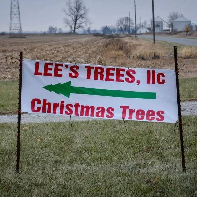 Lee's Trees - Wheatfield, IN 46392