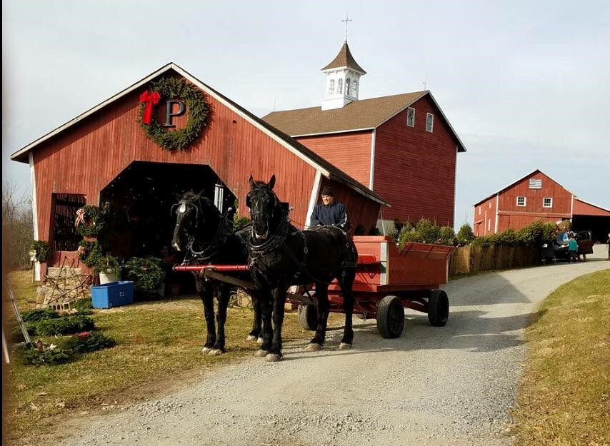 Peterson Farm - Flemington, NJ 08822