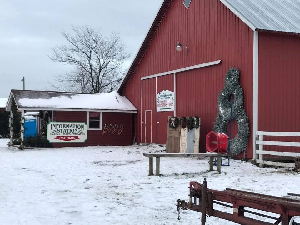 Dutchman Tree Farm LLC christmas tree farm | ChristmasTreeFarms.net