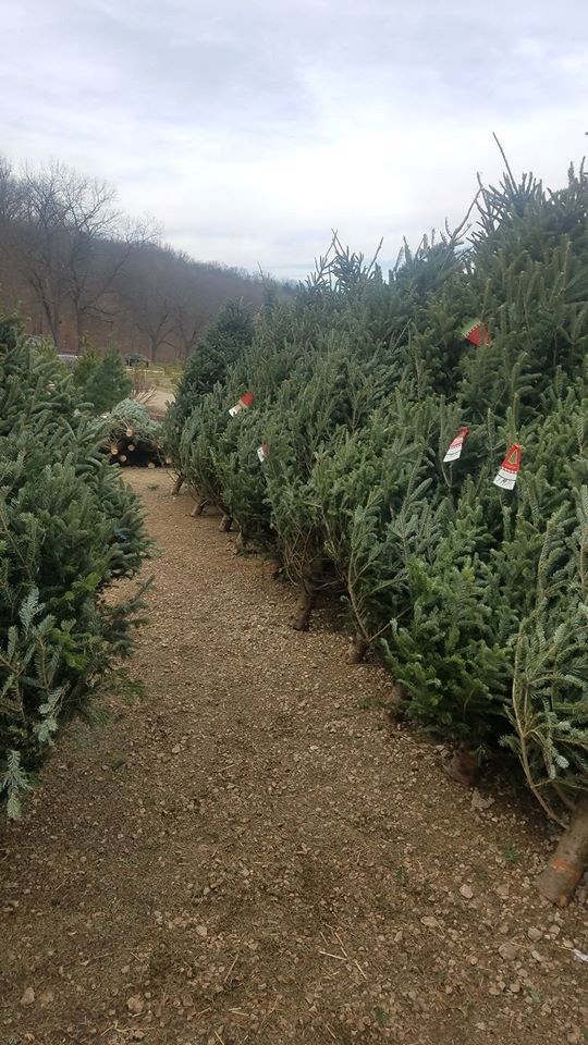Meert Tree Farms Inc. Festus, MO 63028