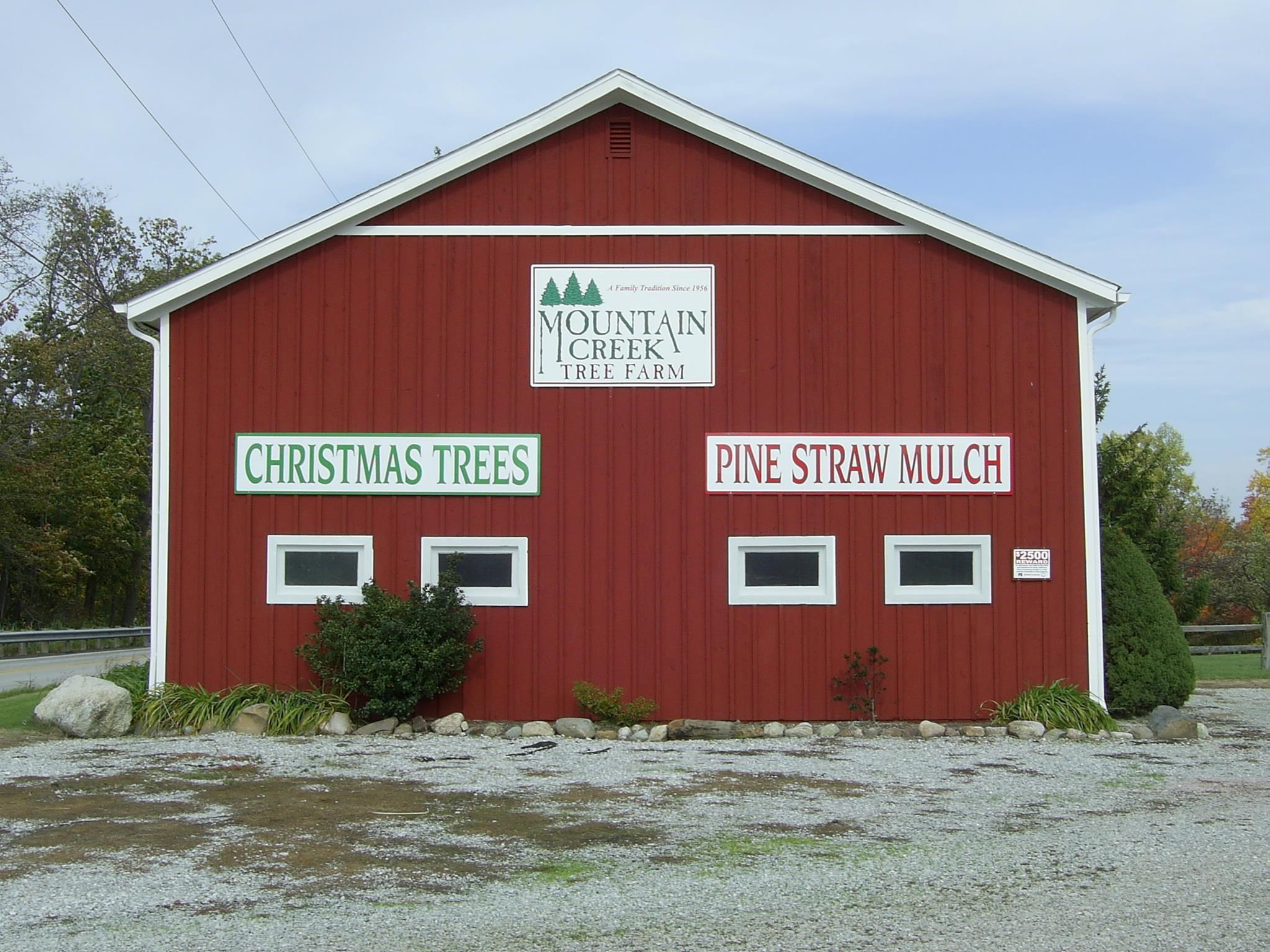 Mountain Creek Tree Farm christmas tree farm | ChristmasTreeFarms.net